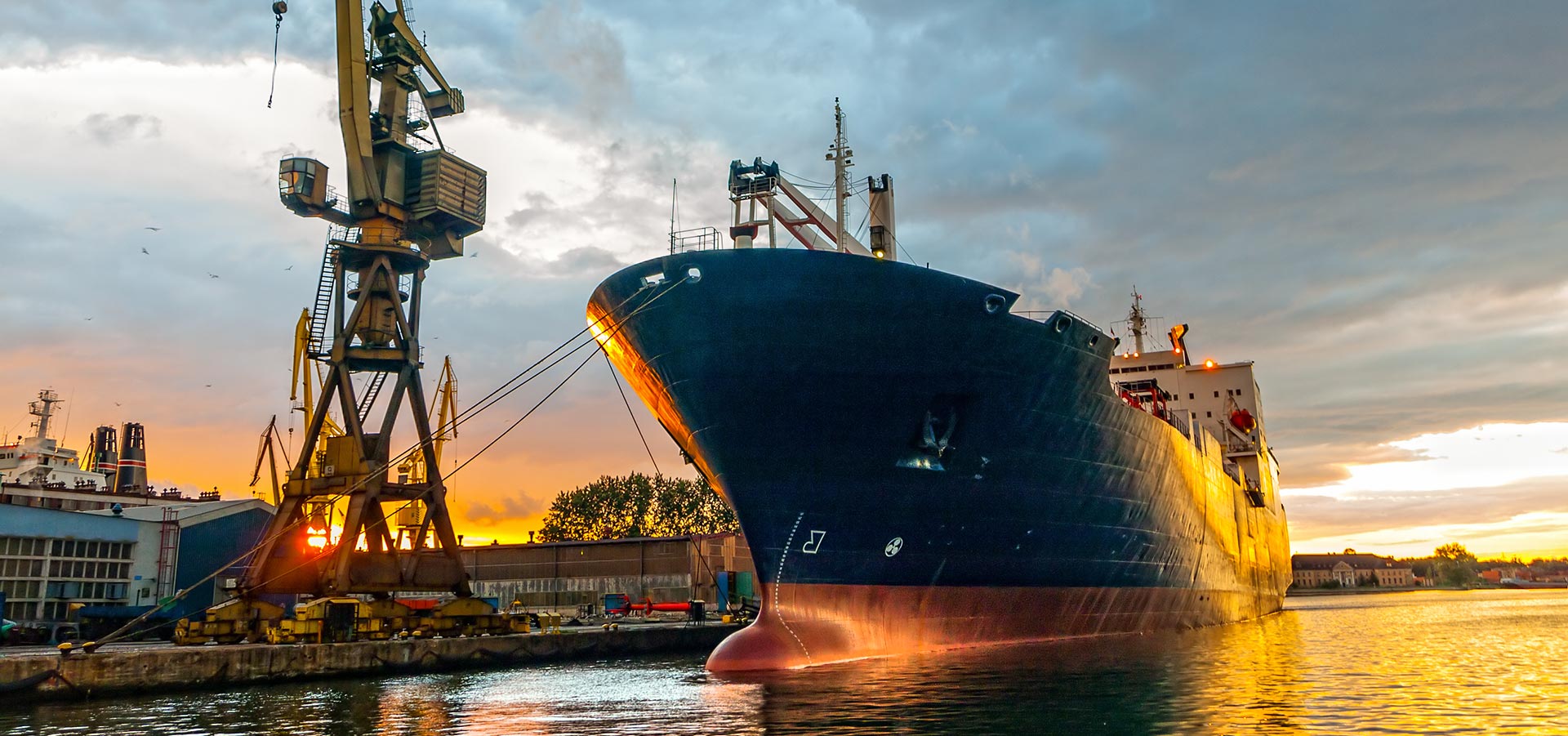 Your Cargo, Our Care